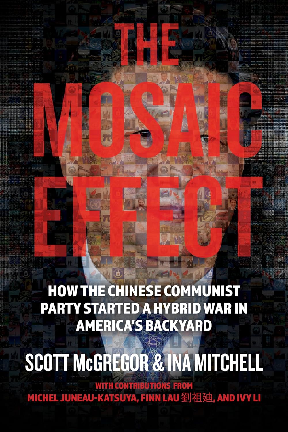TheMosaicEffectCover
